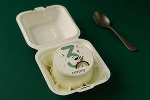 3rd Month Birthday Bento Cake [225 Gms]