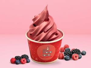 Wild Berry Frozen Yogurt [Fast-Friendly]