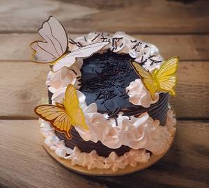 Chocolate Butterfly Cake
