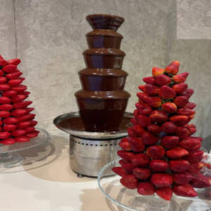 Seasonal Fruit Chocolate Foutain