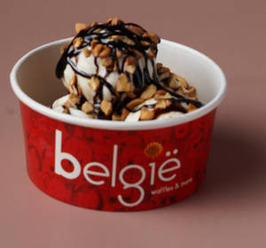 Hot Chocolate Fudge Regular