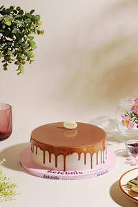 Swiss Dairy Coco Delight 1kg