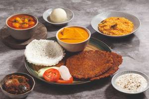Vrat Special Thali