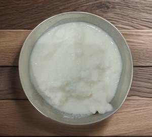 Dahi 100 gm [100 grams]