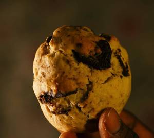 Cookies and cream [200 gram]