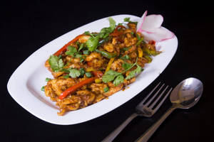 Shredded Chicken : Dry