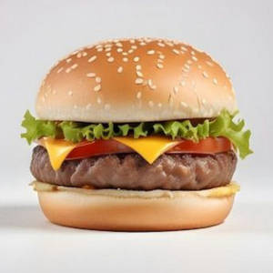 Fav Chicken Burger