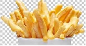 Cheesy french fries
