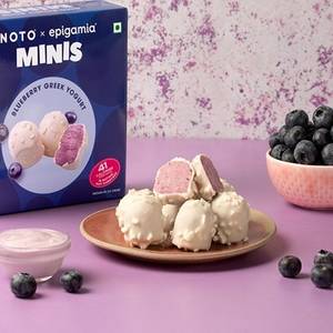 Blueberry Greek Yogurt Minis Guilt Free Ice Cream [09 pieces]