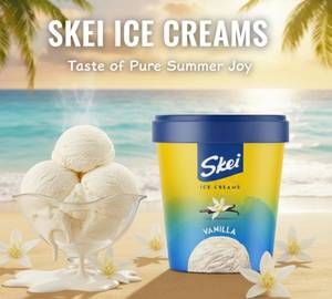 Skie Vanilla Ice Cream