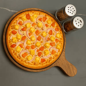 Tandoori Paneer Pizza