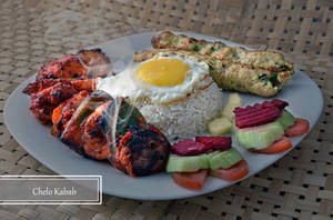 Chelo Kabab - Non Veg 