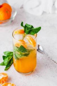 Sugar Free Orange Mojito