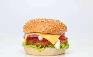Double cheese burger
