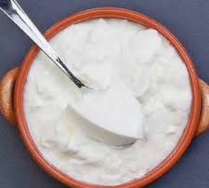 Plain Curd