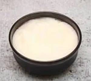 Plan Dahi 100Ml