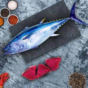Tuna whole [500g]