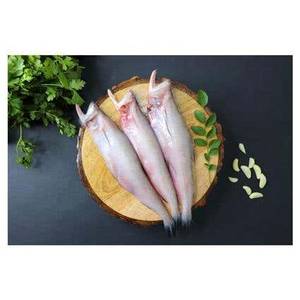 Bombay duck whole [500g]