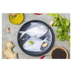 White pomfret medium [500g]