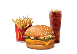 Grilled Cheese and Chicken Burger Combo