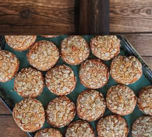 Sugar Free Oats Biscuit (300gms)