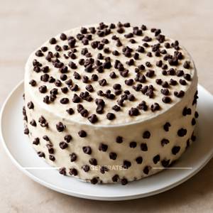 Choco Chips Cake 500 Gm                                       