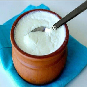 Plain Curd [ 250ml ]