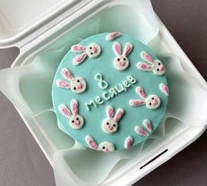 Blueberry Bento Colour Full Cake