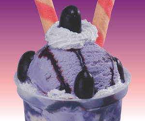 Black Currant Maniya Sundae