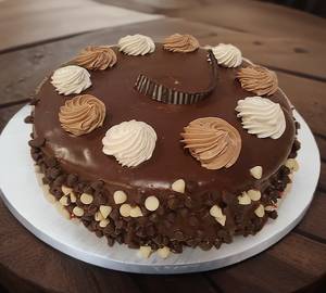 Choco Fancy (550gm)