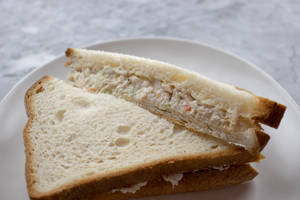 Plain Chicken Sandwich