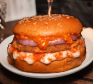 Spicy Salsa Barbeque Burger