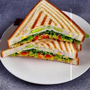 Veg Mayonnaise Sada Sandwich