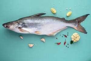 Basa [Pangas] (1000 Gm)