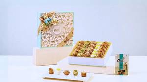 MJ-286 MARINE 25 PCS Collection