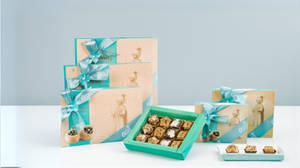 FOC Sweet 12 [Filled]