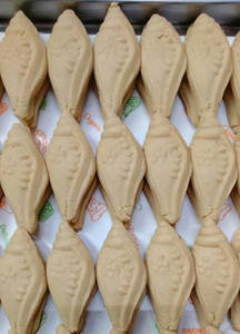 Nolen Gur Sonko Sandesh