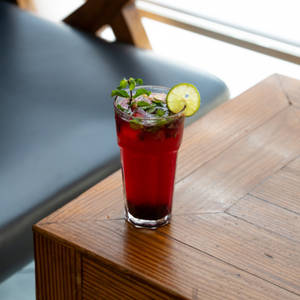 Blueberry Cranberry Mojito