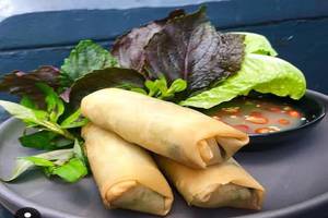Chicken Spring Roll