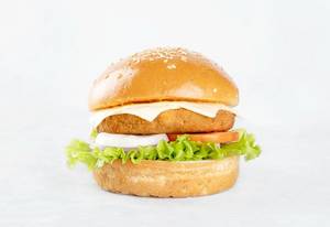 Desi Delight Burger