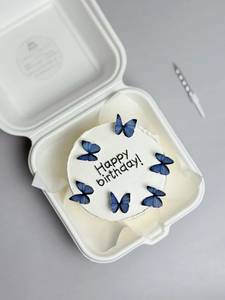 Black Currant Eggless  Bento Cake