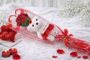 Valentine Rose Teddy Bouquet