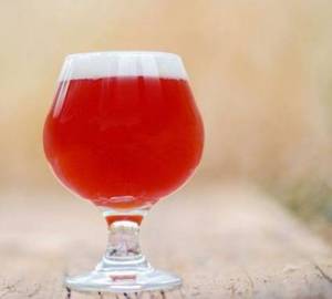 Cranberry Fruit beer