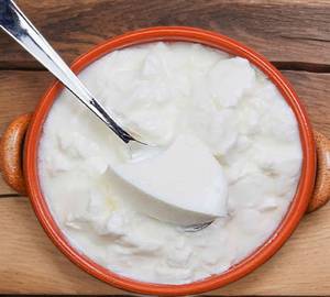 Plain dahi