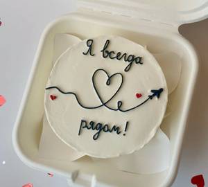 Flying Theme Bento Vanilla Cake