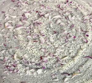 Onion Plain Dosa