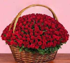 Basket arrangement (100) Rose
