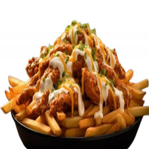 LOADED FRIES