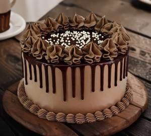 Light Chocolate Cake(16)
