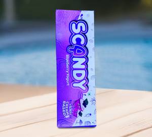 Blueberry yogurt ice candy